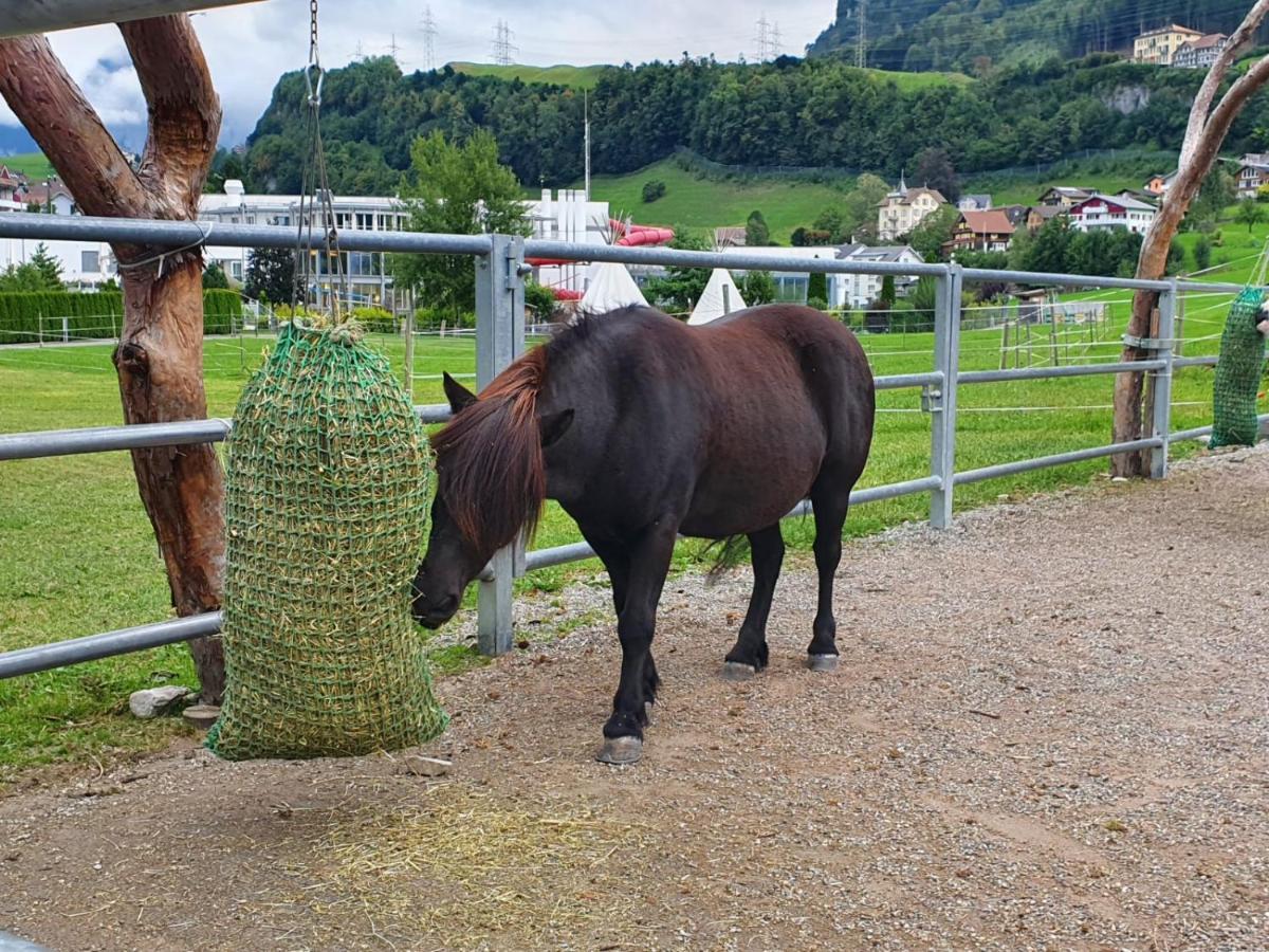 Apartment Priv. Bei Swiss *