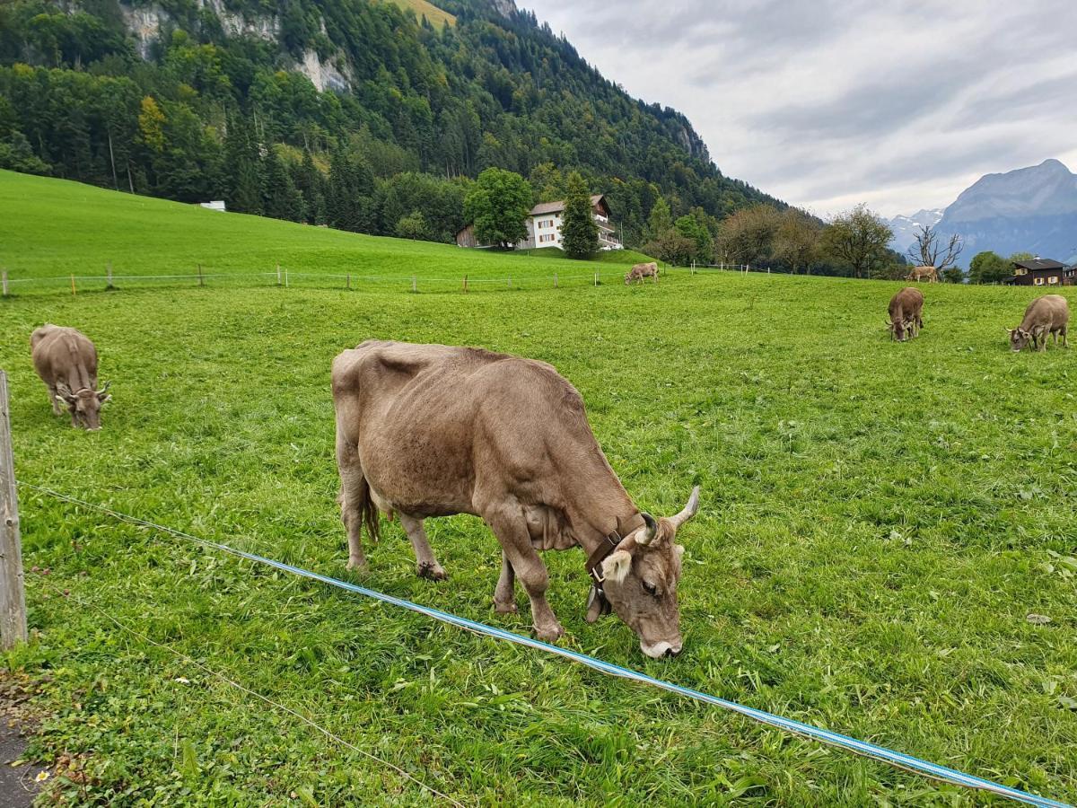 Priv. Bei Swiss Apartment *
